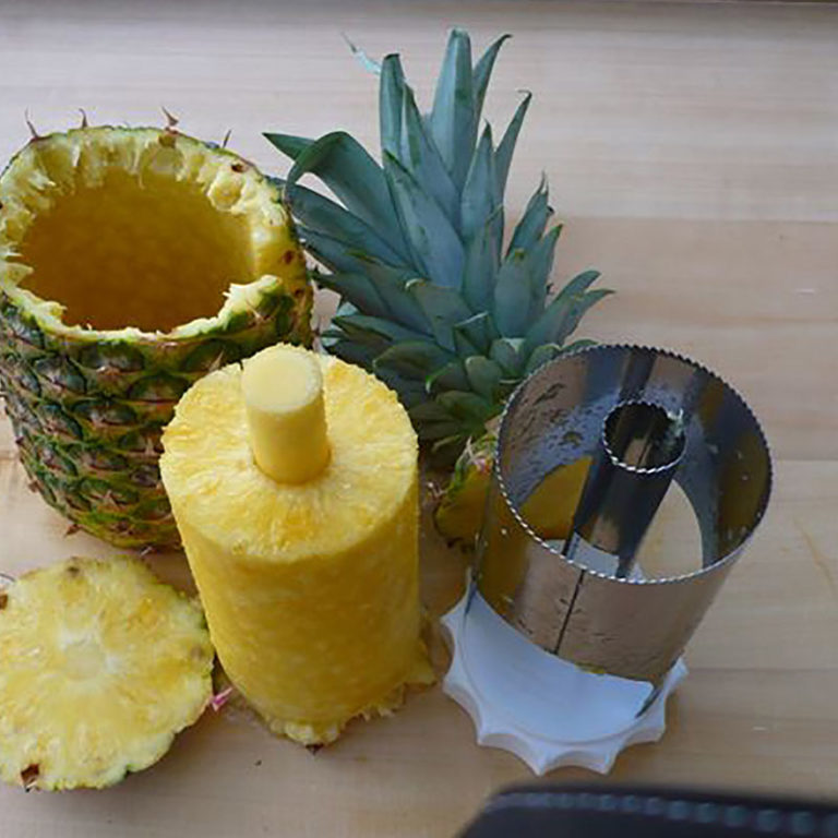 Pineapple Corer (18/10 INOX) V153 Gary Valenti Inc.